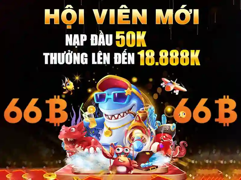 Giới Thiệu 66B