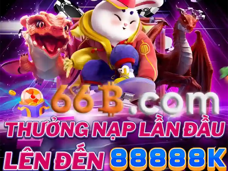 Giới Thiệu Về 66B