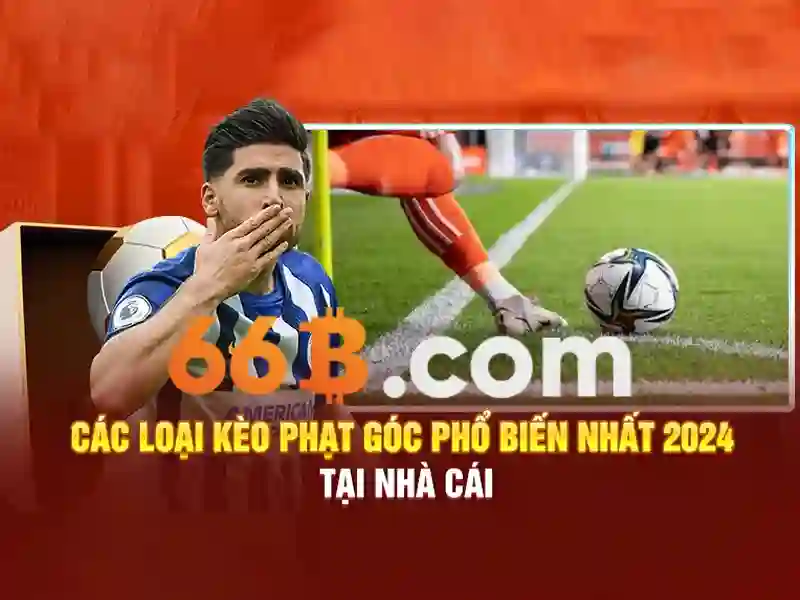 Ưu Đãi Đặc Biệt Cho Thành Viên 66B
