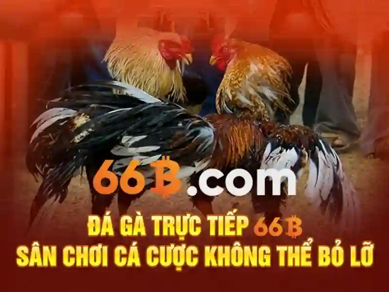 SLOT 66B