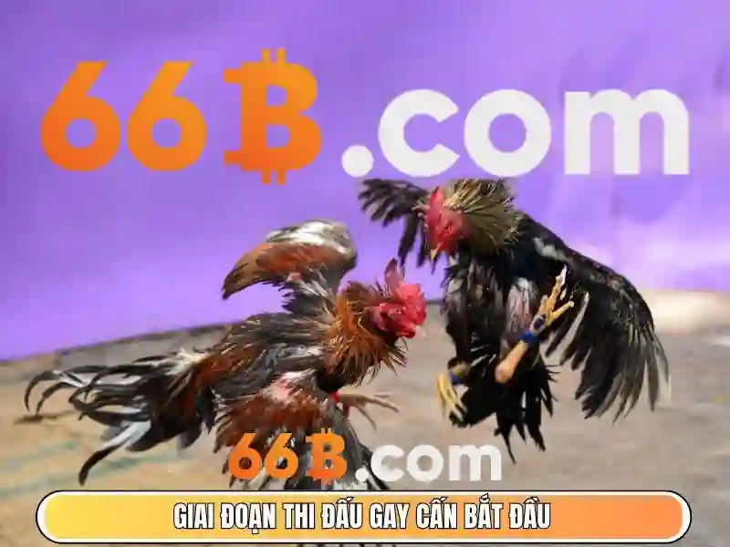 Trải nghiệm slot đa dạng