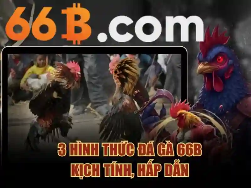 Theo dõi hoạt động Slot 66B