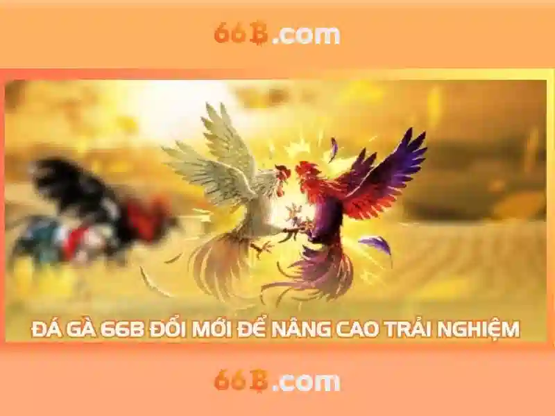 Điều kiện đăng nhập 66B