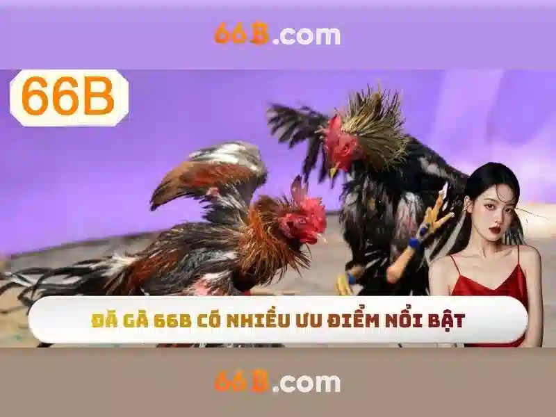 đánh giá 66B