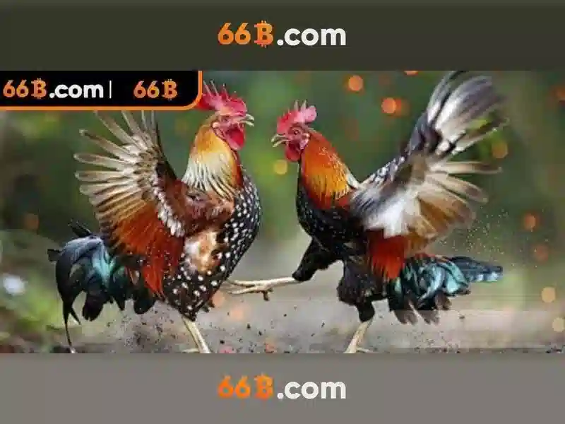 Ưu Đãi 66b Giftcode