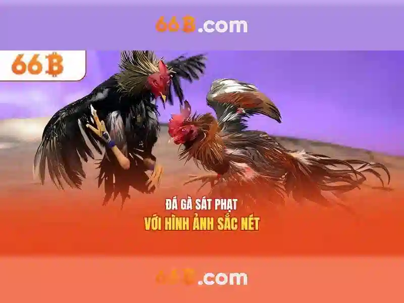 Ưu Đãi Nhập Code 66B
