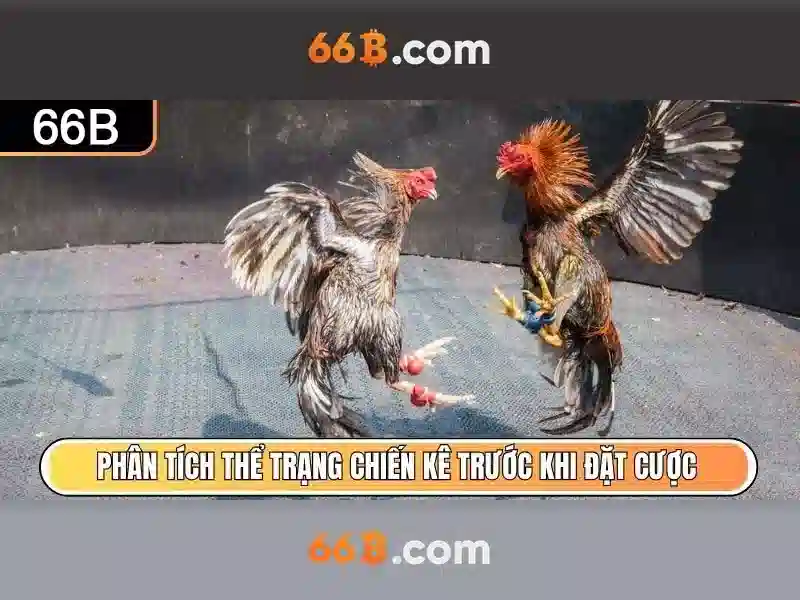 Ưu Đãi Đăng Nhập 66B