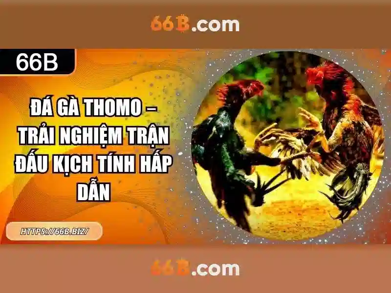 Bí Kíp Chơi Slot 66B Thắng Đậm