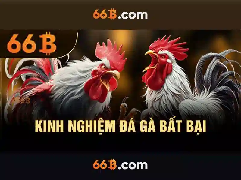 Tại Sao Nên Đăng Xuất 66B