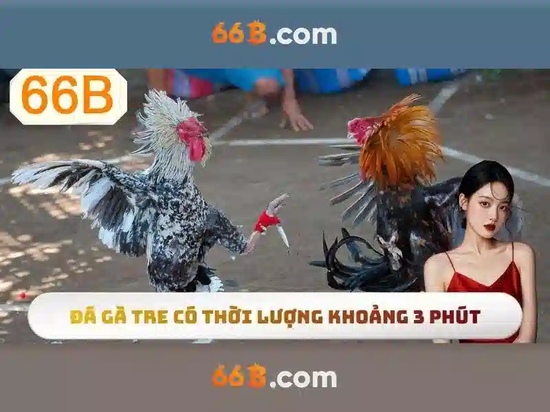 Trải Nghiệm Slot Đỉnh Cao