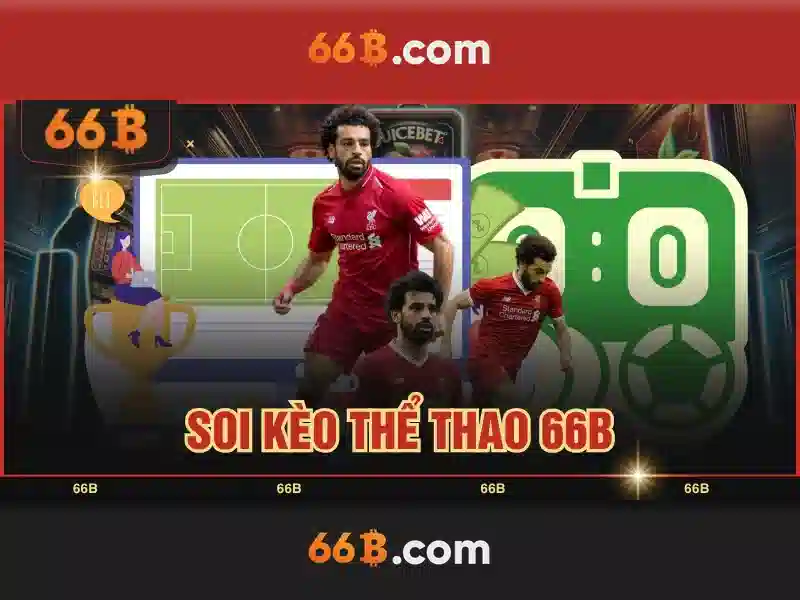Hỗ Trợ Marketing 66B