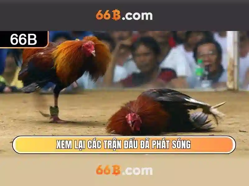 Trải nghiệm Slot 66B 2026
