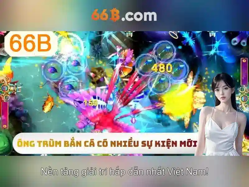 Review 66B - Đánh Giá Chi Tiết