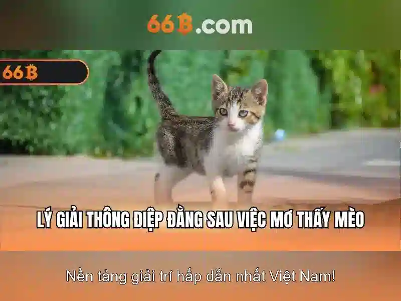 Hệ Thống Bảo Mật 66B