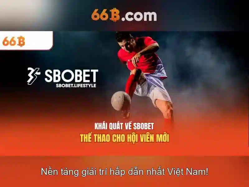 Lưu ý đăng ký 66B