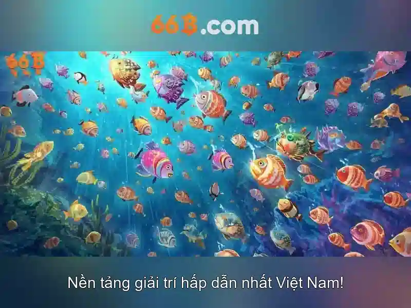 Ưu Đãi Độc Quyền Cho Thành Viên 66B