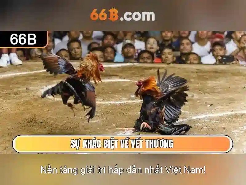 Kinh nghiệm nổ hũ 66b