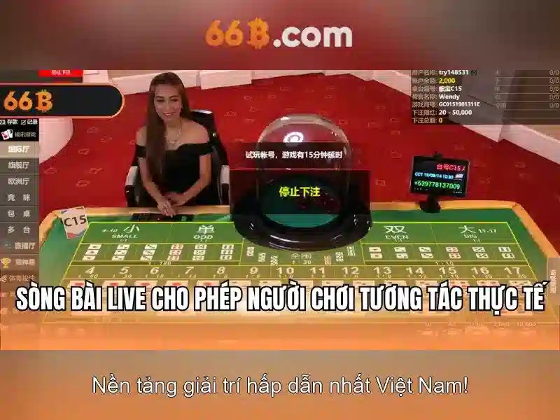 Hỗ Trợ 66B