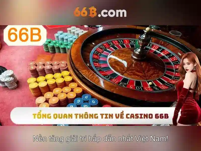 Hướng Dẫn Sử Dụng 66B