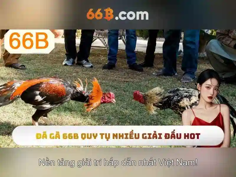 66B App Slot