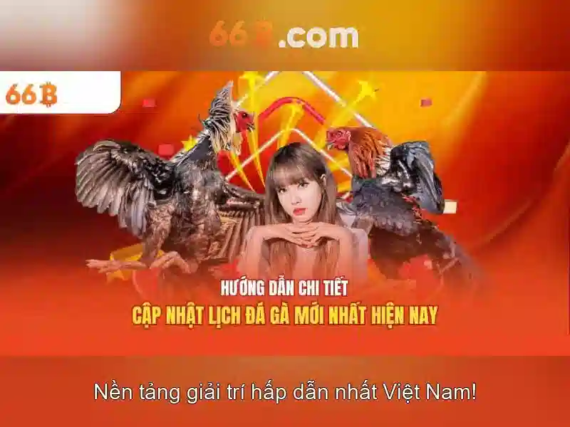 Hướng Dẫn 66B