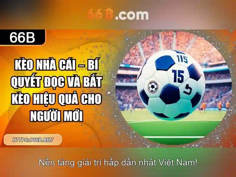 ưu đãi 66B