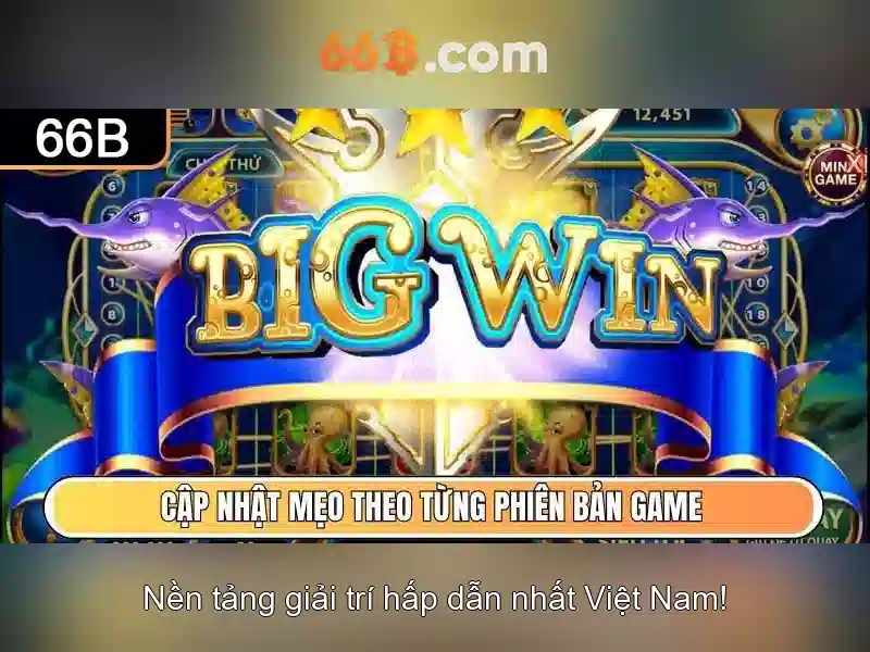 đăng ký 66B