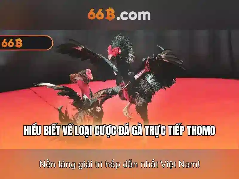 Giao Dịch 66B