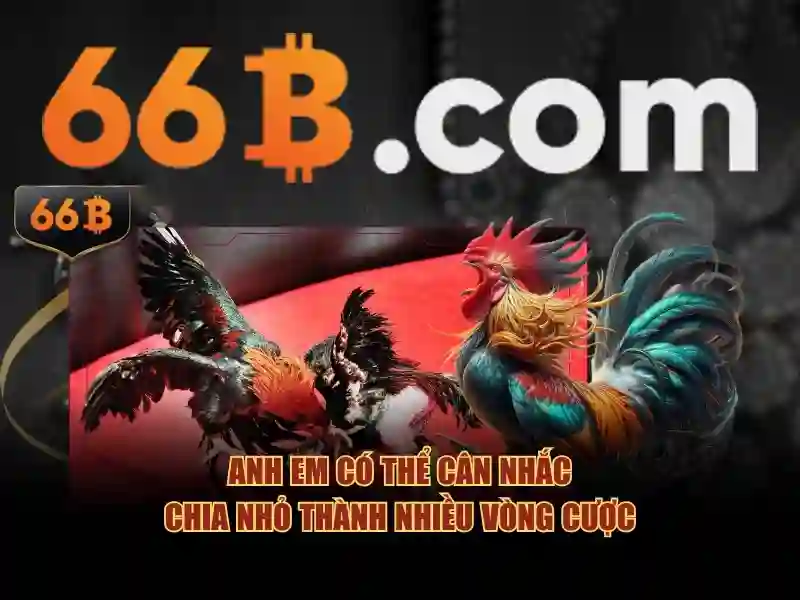 Ưu Đãi Đặc Biệt Cho Thành Viên 66B