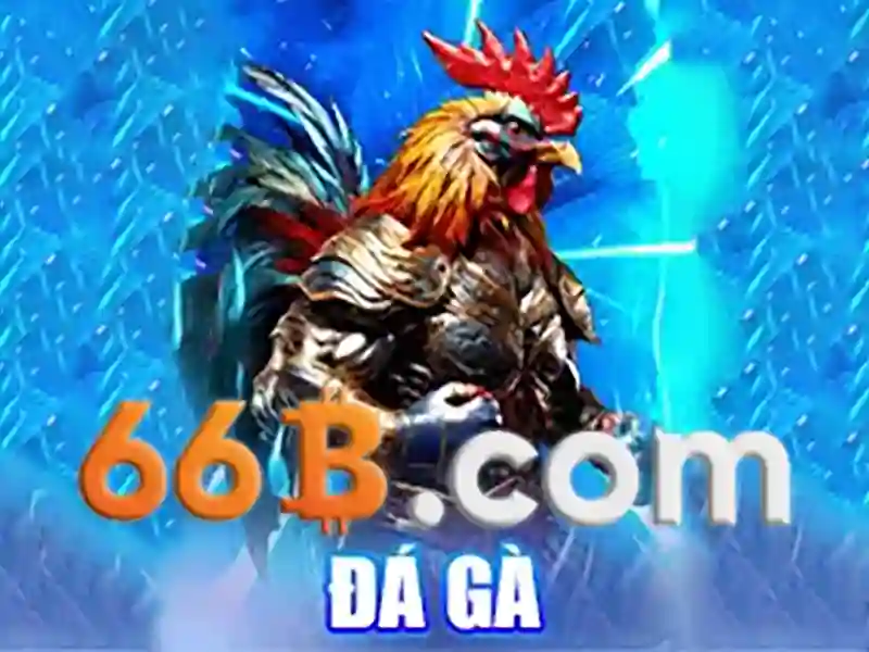 Khuyến Mãi 66B