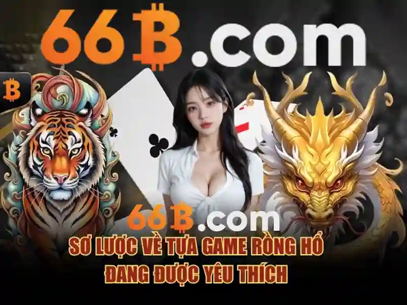 Tại Sao Nên Chọn 66B