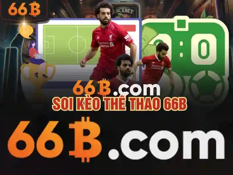 66B Android